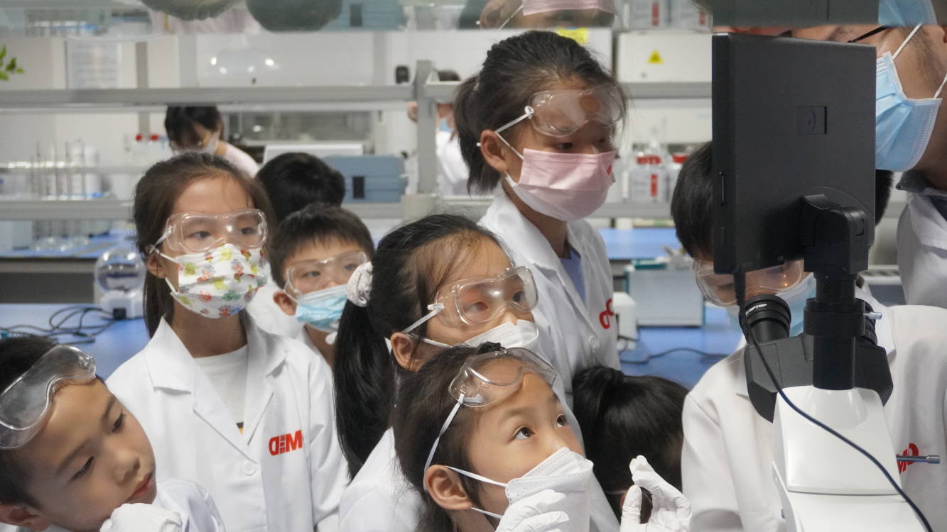 BIO-DL,Experiment,Originality BIO-DL,Experiment,Originality