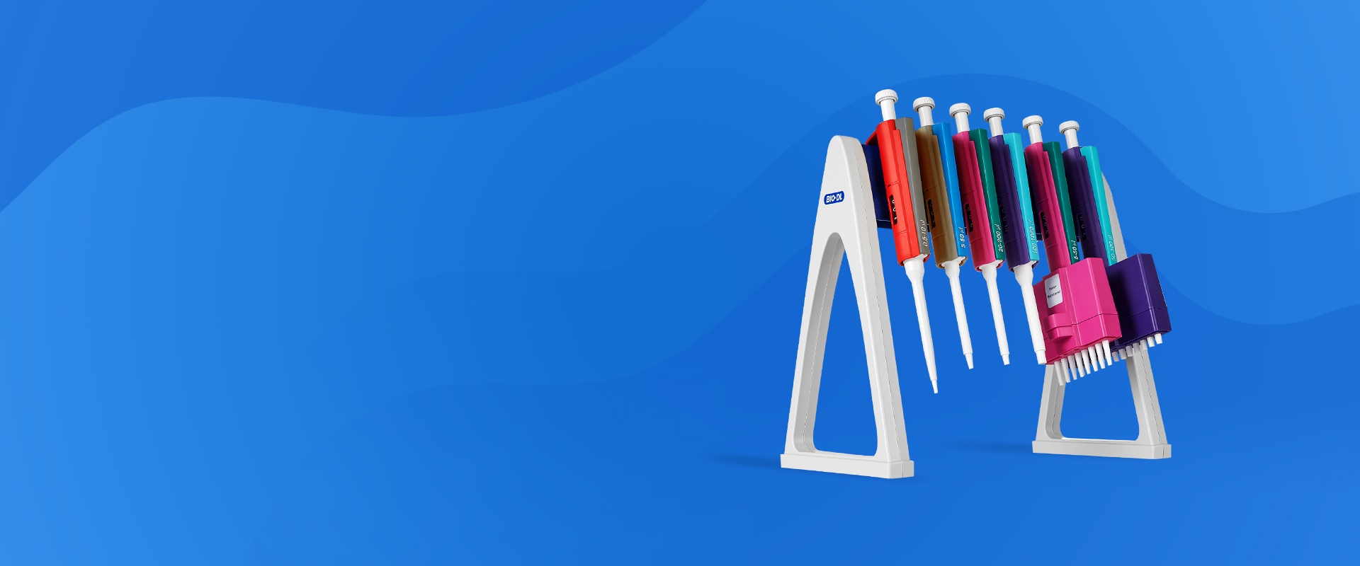 1920x800电脑端banner02